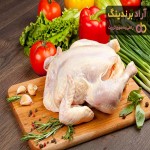 مرغ سبز | فروشندگان قیمت مناسب مرغ سبز