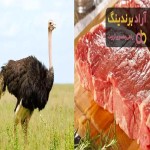 قیمت گوشت شترمرغ صادراتی + مشخصات بسته بندی عمده و ارزان