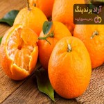 لیست قیمت نارنگی ترش و شیرین ۱۴۰۱