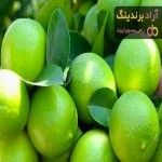 لیست قیمت لیموی تازه بهمن 1401