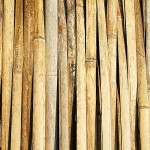 خرید چوب بامبو مشهد + بهترین قیمت