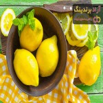 قیمت لیمو شیرین + خرید انواع متنوع لیمو شیرین
