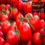 قیمت خرید گوجه فرنگی + مزایا و معایب