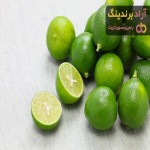 راهنمای خرید لیمو ترش منجمد + قیمت عالی