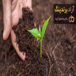 کود دهی درخت کیوی + قیمت خرید، کاربرد، مصارف و خواص