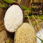 قیمت خرید برنج قهوه ای طرز پخت در اصفهان مشهد تبریز ساری