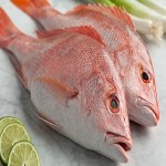 ماهی سرخو اصل؛ تشخیص ماهی سرخو از تقلبی