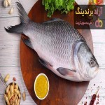 معرفی انواع ماهی تیلاپیا + قیمت خرید