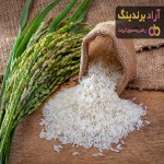 معرفی برنج ایرانی گلستان + بهترین قیمت خرید