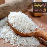 خرید برنج سفيد ايراني + قیمت عالی