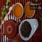 خرید و قیمت روز گیاه چای سیاه