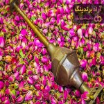 خرید گل محمدی خشک شده در چای + بهترین قیمت