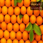 قیمت پرتقال تامسون نوبل + خرید