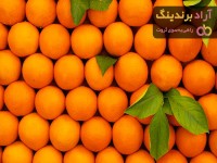 قیمت پرتقال تامسون نوبل + خرید