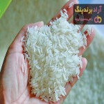 قیمت برنج طارم فجر فریدونکنار