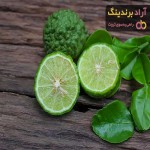 قیمت لیمو ترش لایم کوات