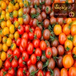 قیمت گوجه فرنگی در جهان