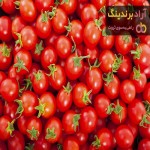 قیمت گوجه فرنگی در زاهدان