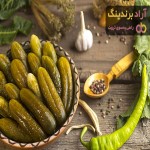 قیمت خیارشور همدان