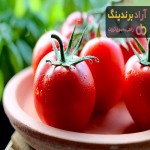 قیمت گوجه فرنگی تهران