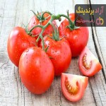 قیمت گوجه فرنگی در میدان بار مشهد