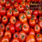قیمت گوجه فرنگی در میدان تبریز