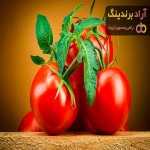 قیمت گوجه فرنگی در بازار تهران امروز