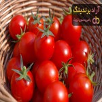 قیمت گوجه فرنگی در میدان تره بار شیراز