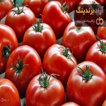قیمت گوجه فرنگی در میدان بزرگ