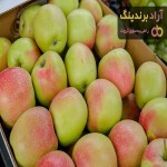 قیمت سیب گلاب در بازار 