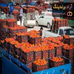 قیمت گوجه فرنگی در میادین تره بار