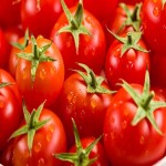 قیمت گوجه فرنگی در بازار مشهد