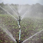 قیمت لوله آب کشاورزی