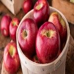 قیمت سیب صادراتی دماوند