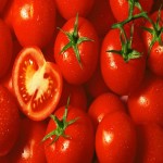 قیمت گوجه فرنگی کارخانه ۱۴۰۱