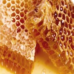 قیمت عسل وحشی طبیعی