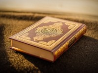 سود حلال در قرآن (سود شرعی فروش و معامله)