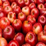 قیمت سیب در تره بار