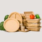 قیمت ظروف یکبار مصرف گیاهی در بازار
