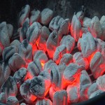 قیمت زغال بلوط در تهران
