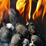 زغال فشرده؛ اندازه های مختلف 2 ترکیب ضایعات چسب چوب