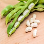 لوبیا سفید کشاورزی؛ طبع متعادل مواد معدنی کربوهیدرات فیبر Vitamin