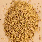 بذر یونجه آمریکایی؛ غذای دام 3 نوع رنجر پاسفیک گلد