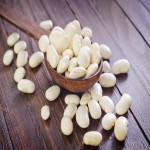 لوبیا سفید کیلویی Beans دارای پروتئین کربوهیدرات خواص تقویت سیستم ایمنی