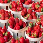 قیمت توت فرنگی در مازندران