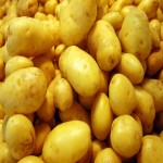 سیب زمینی درجه یک potato ظاهری صاف سرشار کربوهیدرات مواد معدنی