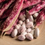 لوبیا چیتی ارگانیک Pinto beans ارغوانی قرمز سفید تهیه انواع کنسرو