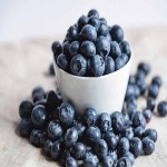 بلوبری در بازار تجریش blueberry گوشتی آبدار مناسب صنایع غذایی دارویی