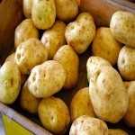 خرید مستقیم سیب زمینی + قیمت فروش کارخانه