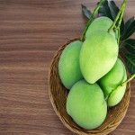 انبه سبز میناب mango خوشمزه 3 خواص لاغری ضد پیری زودرس ضد باکتریایی